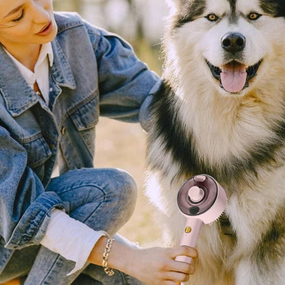 USB-C Pet Brush with UV Light