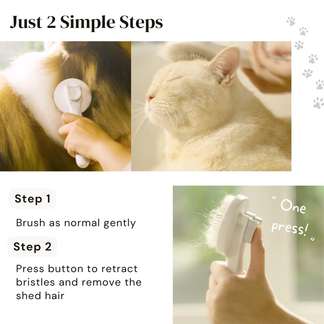 Self-Cleaning Slicker Brush