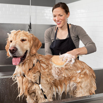 Pet Shampoo Brush - Wooden Handle