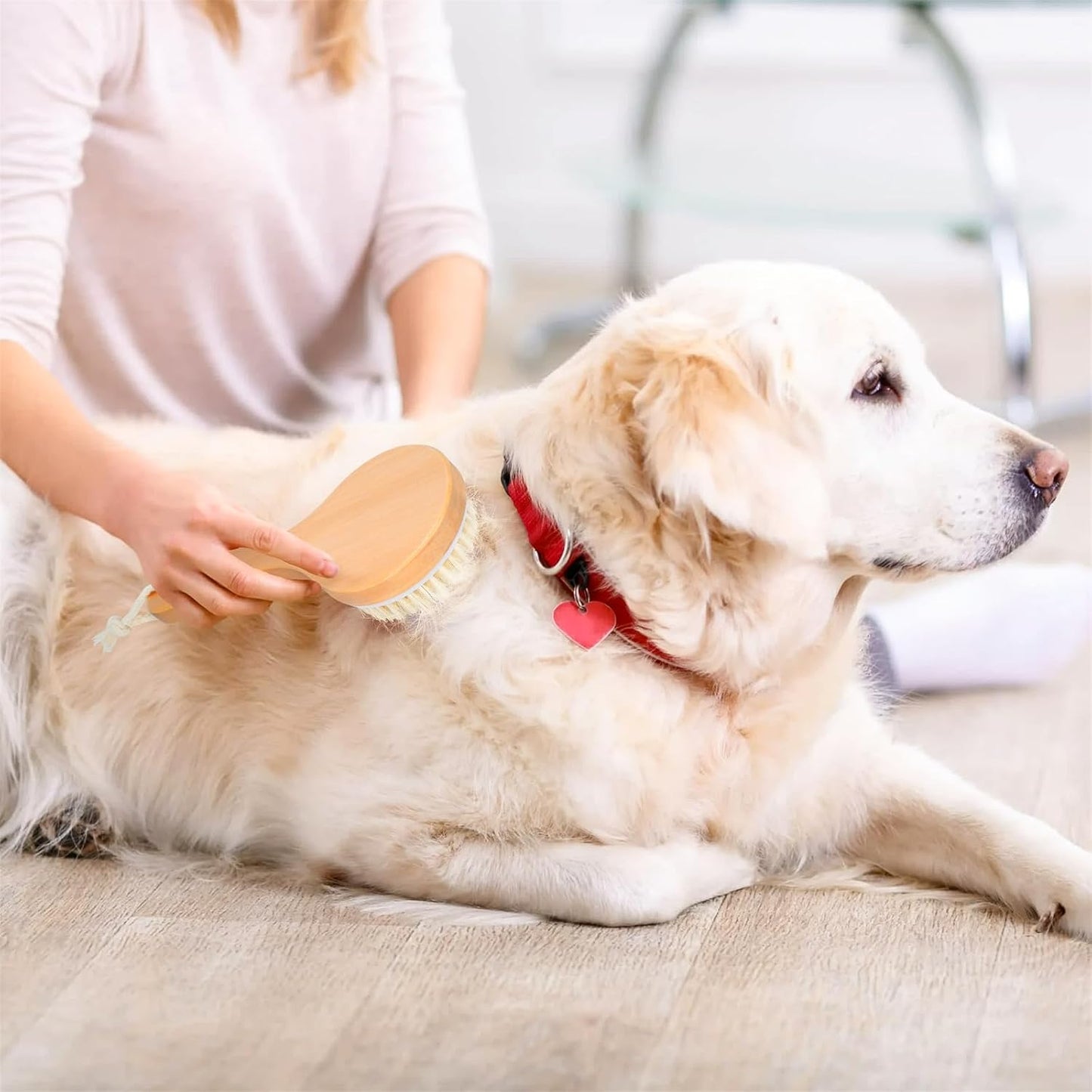 Pet Shampoo Brush - Wooden Handle